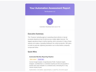Assay report screenshot